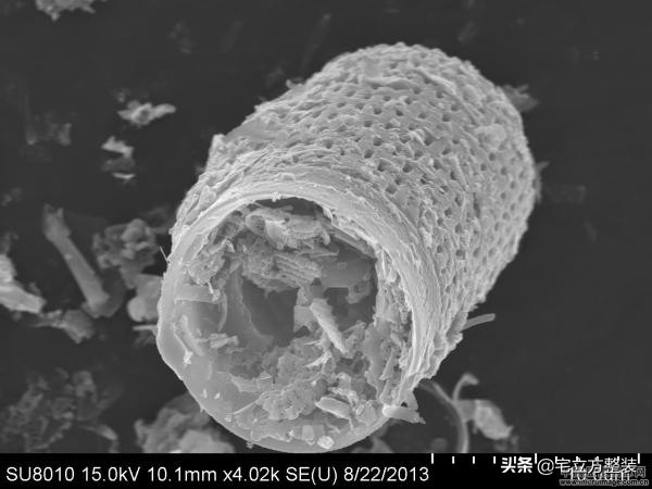 入户门适合用硅藻泥地垫吗,你家用的是真的硅藻泥吗