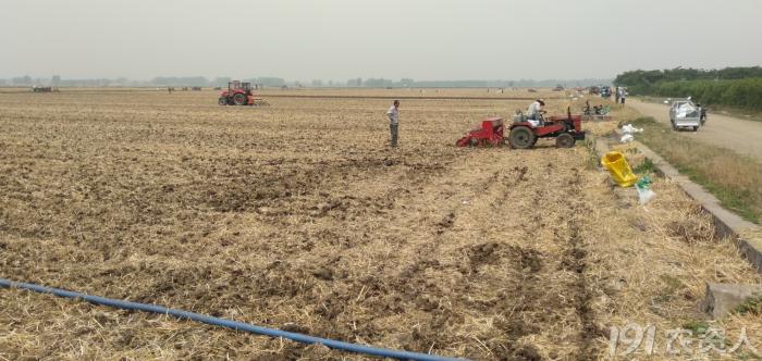 河南适合种植高产玉米,玉米高产高效种植技术