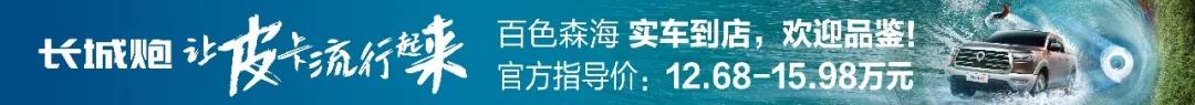 gw4c20发动机是多大排量,gw4c20b是不是十佳发动机