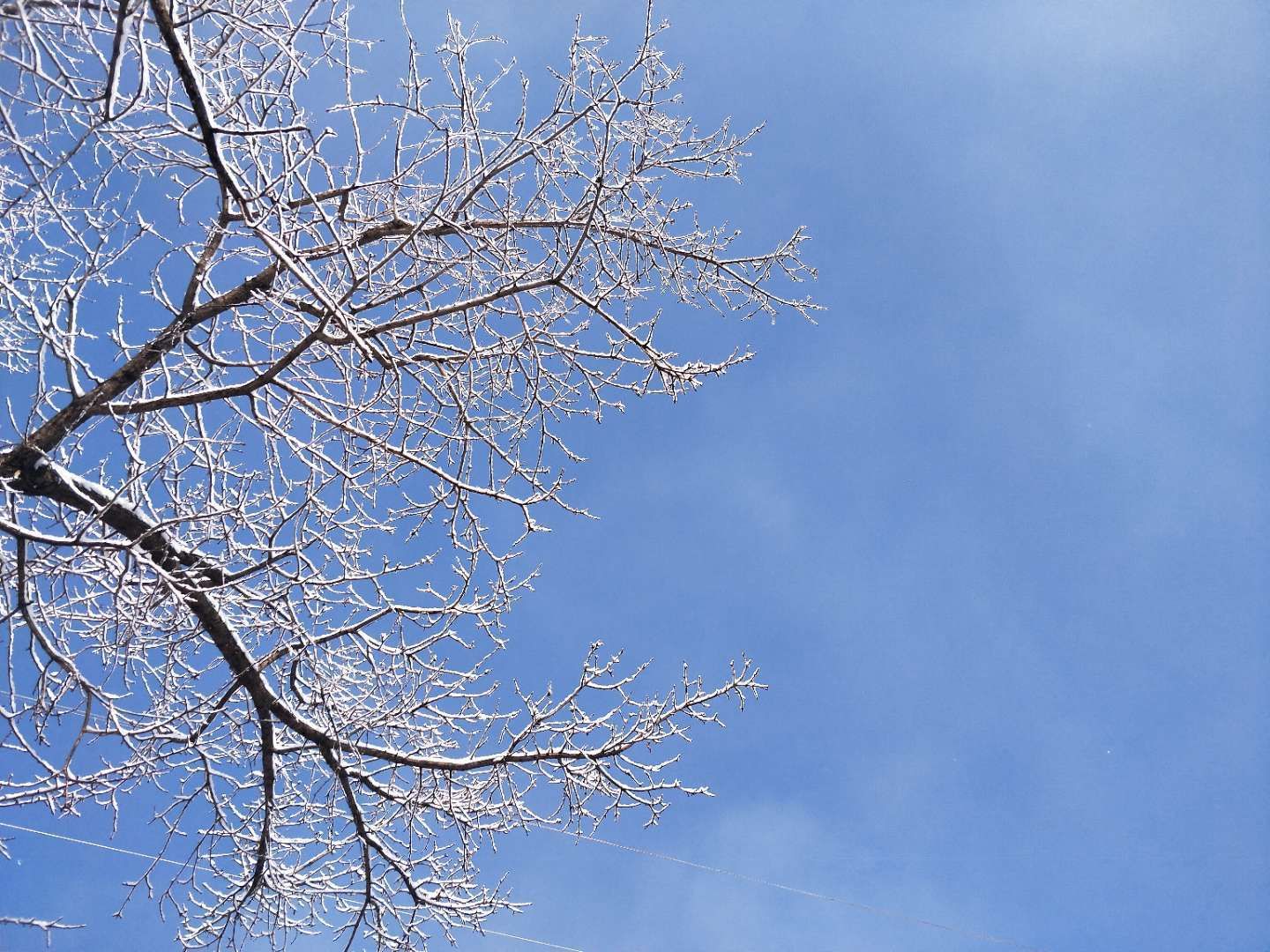 日企工作要求,日企工作有哪些收获