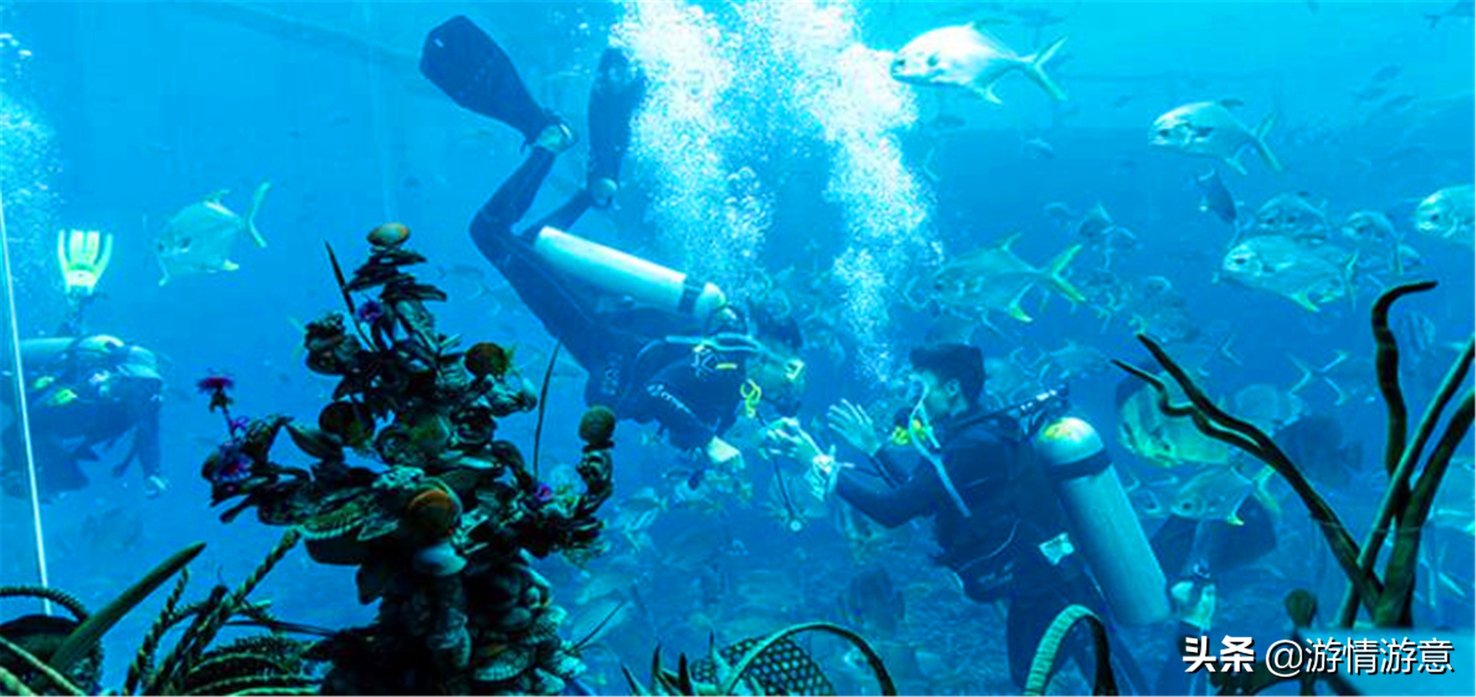 一家三代去旅行,一家三代旅游的感受