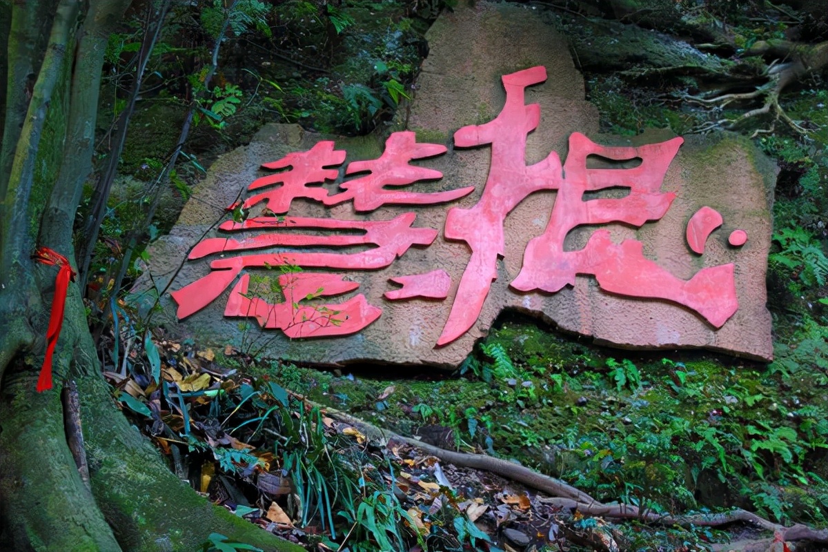 树袋熊连载助读《道德经》第四十一章不同人对待“道”的态度