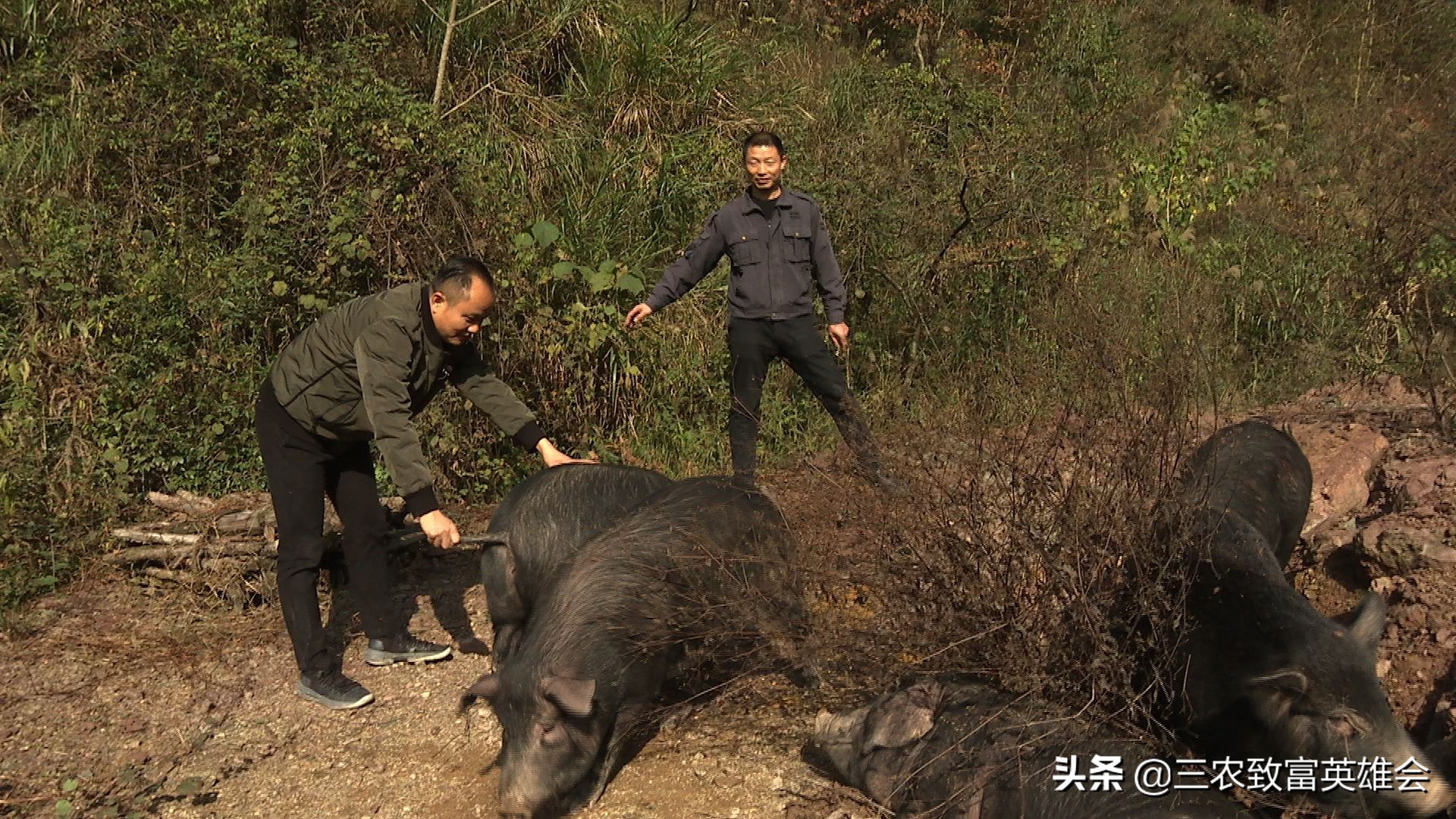 借船出海的商业模式,产品没销路怎么解决