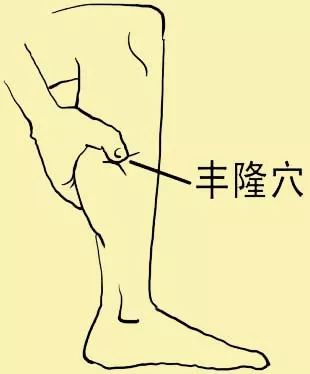 头发油腻是肝的原因吗,头发油腻是体内湿气太重吗