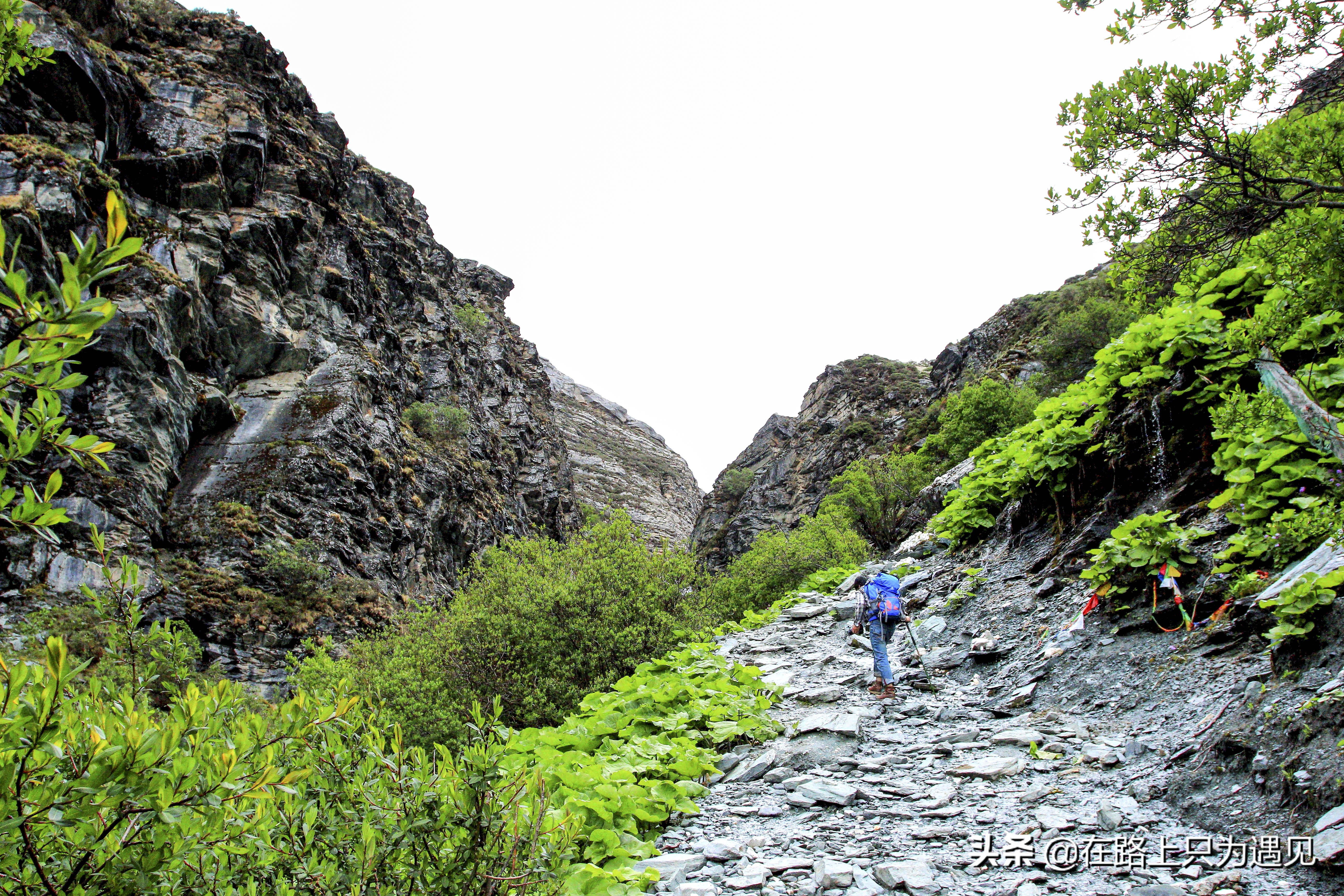 从你的全世界路过稻城亚丁主人公,从你的全世界路过稻城亚丁片段