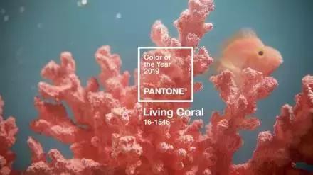 安妮半披发型,安妮新款短发发型