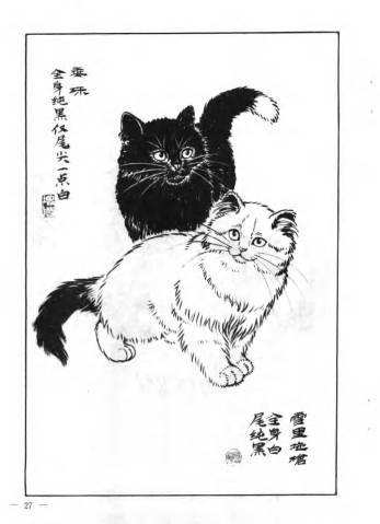 中华田园猫和狸花猫有什么区别,古代中华田园猫排行
