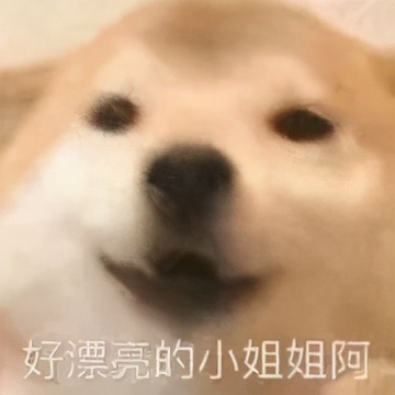 算了还是要上班系列表情包,一想到明天上班就想打个人表情包