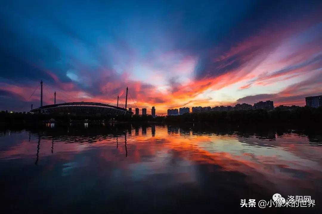 河南洛阳发布最新通知,洛阳牡丹花会向全世界发出邀请