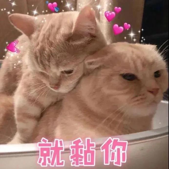 我就是个一无是处的废物表情包,表情包我就是小气