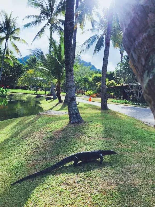 马来西亚适合游玩的岛,马来西亚阳光大海