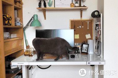 沉浸式桌面大改造,桌面大改造ins风极简