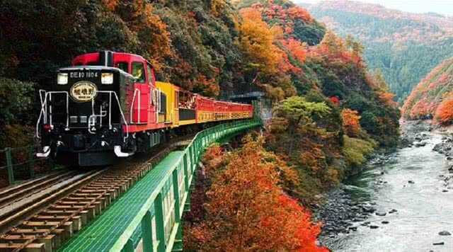 广东省内森林旅游景点,广东森林公园排行榜