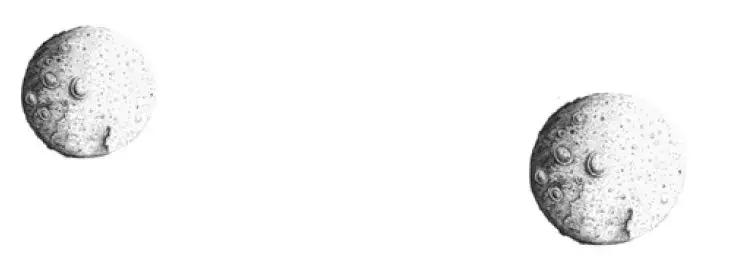 平行宇宙真实存在两段网友经历,平行宇宙书籍值得看吗