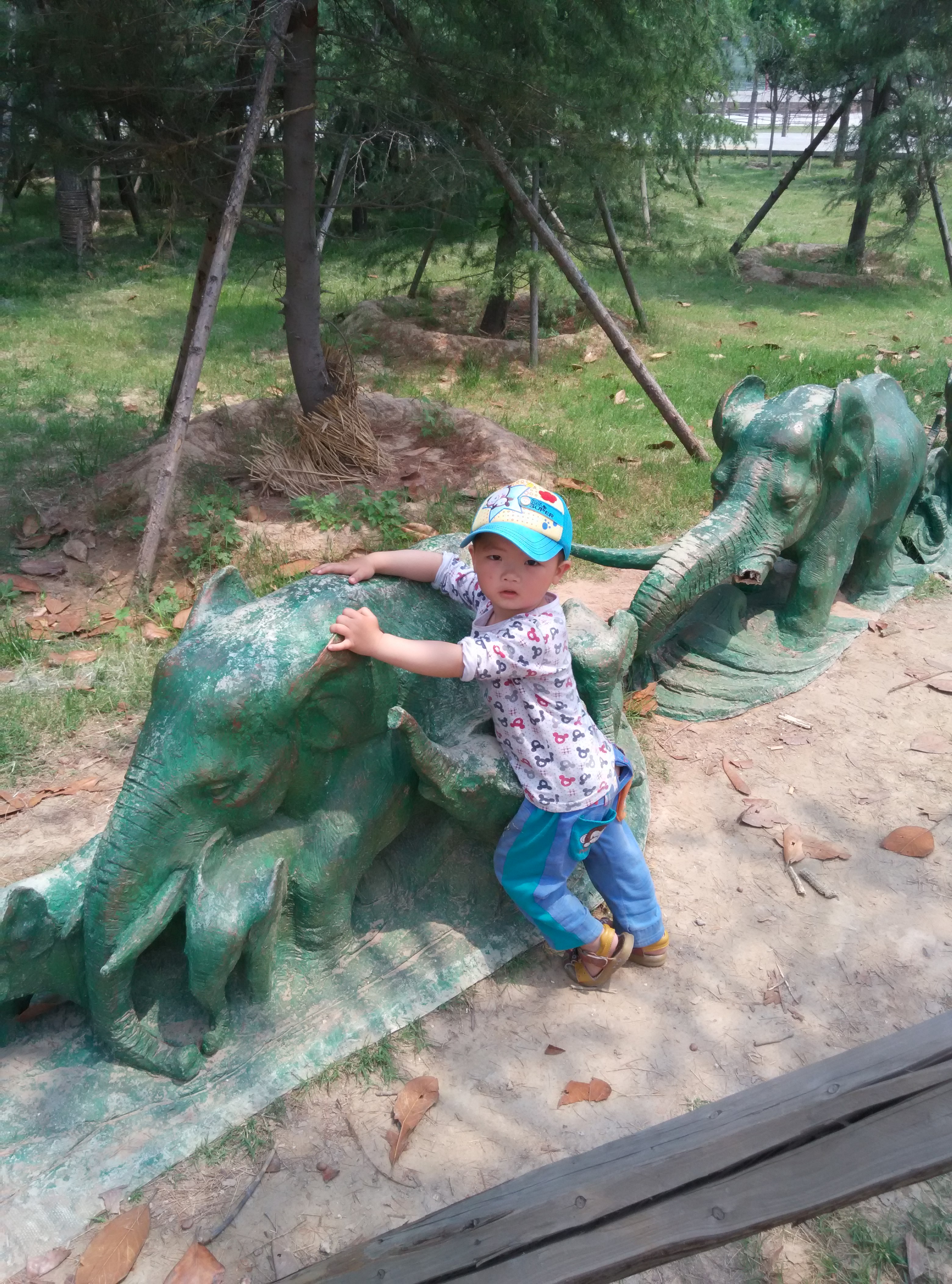 育儿大作战中的谜语,幼儿脑筋急转弯谜语大全