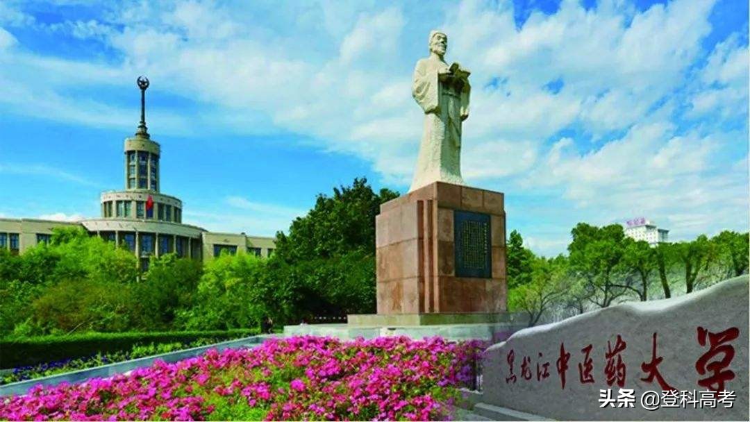这所大学拥有4个国家重点学科,中药学全国顶尖,录取分数却很低