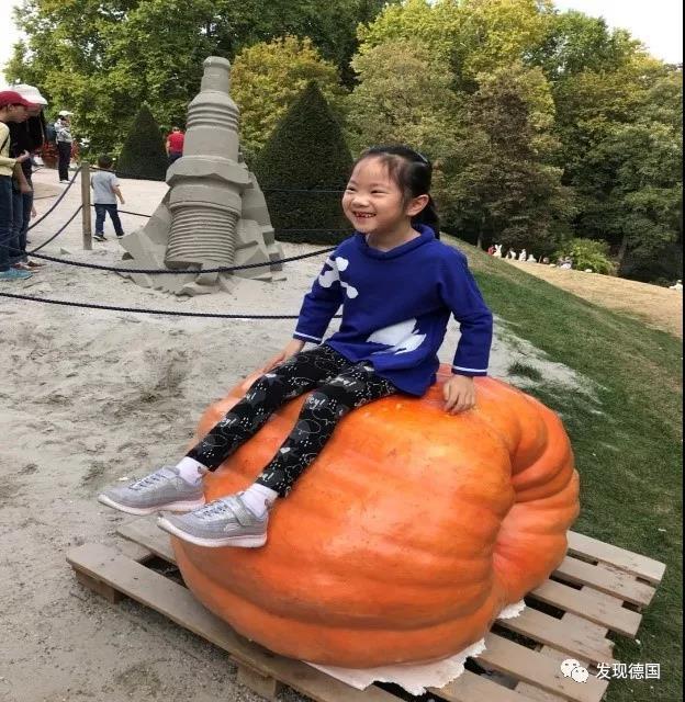 花卉蔬菜制作教程,花卉怎么做