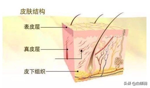 乱用护肤品怎么恢复,什么护肤品能让角质层变薄