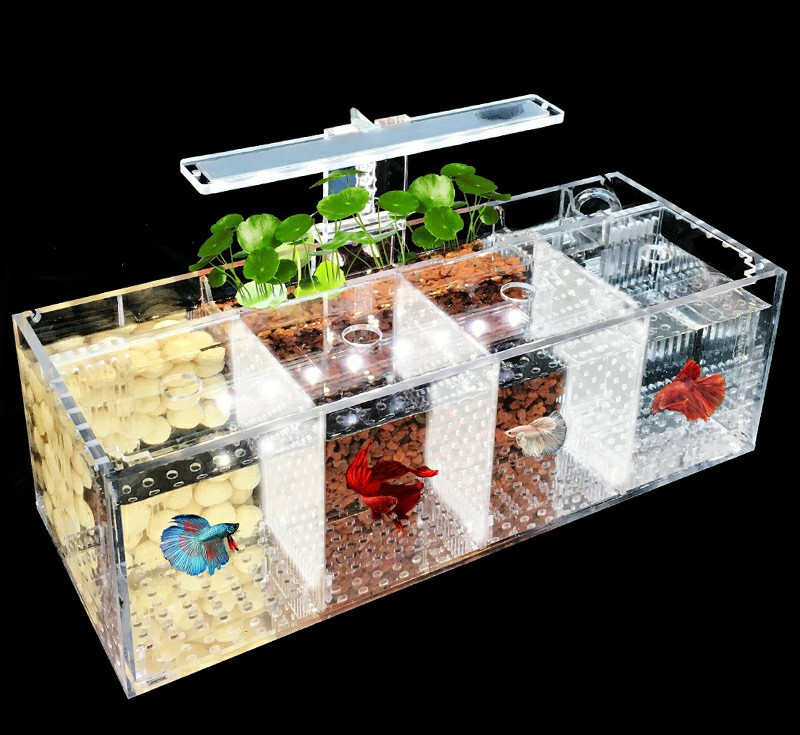 新手养鱼买什么鱼缸好,新手养鱼买什么鱼缸比较好