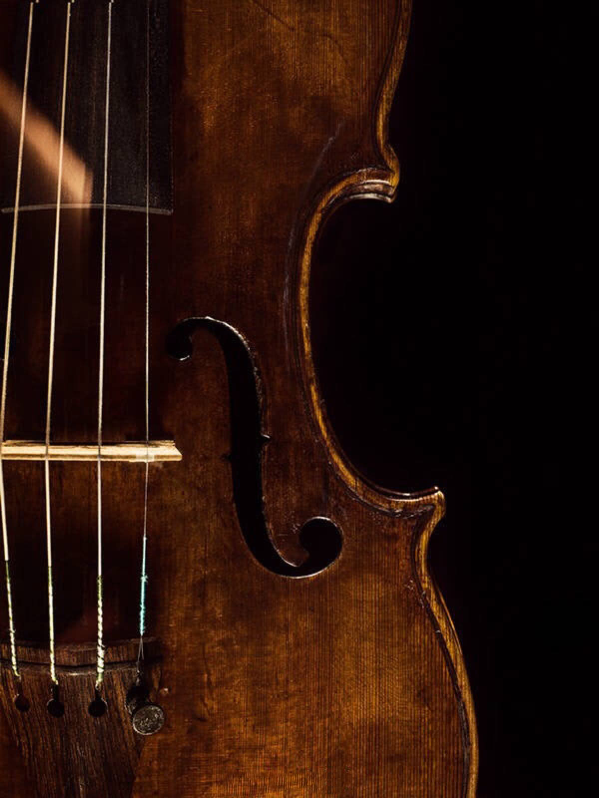 埃尔加有哪些名曲,埃尔加大提琴协奏曲