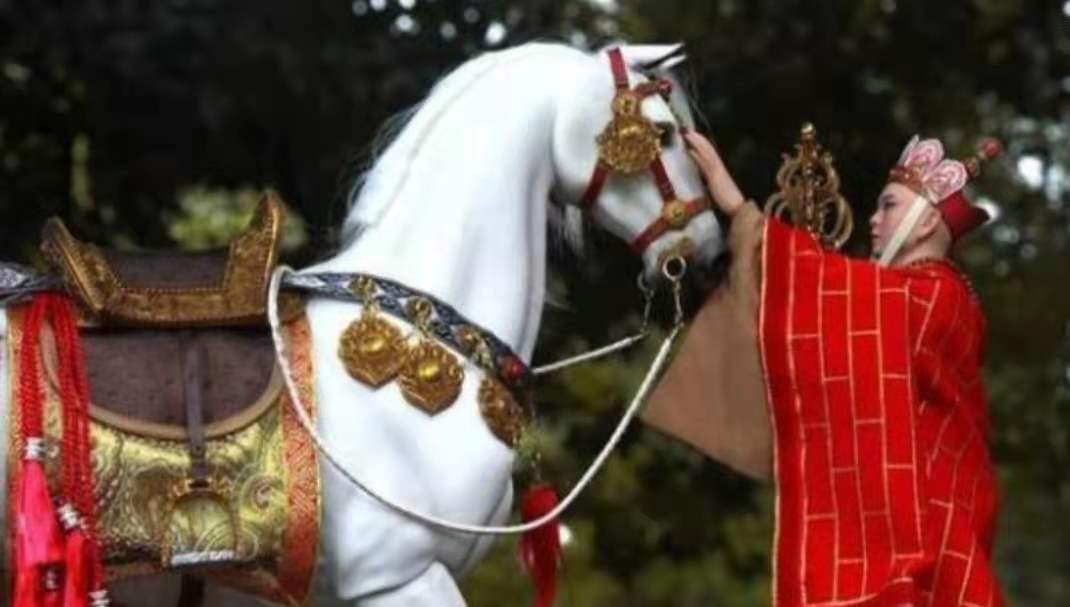 白龙马从马棚走出来的故事,西游记白龙马的悲惨晚年
