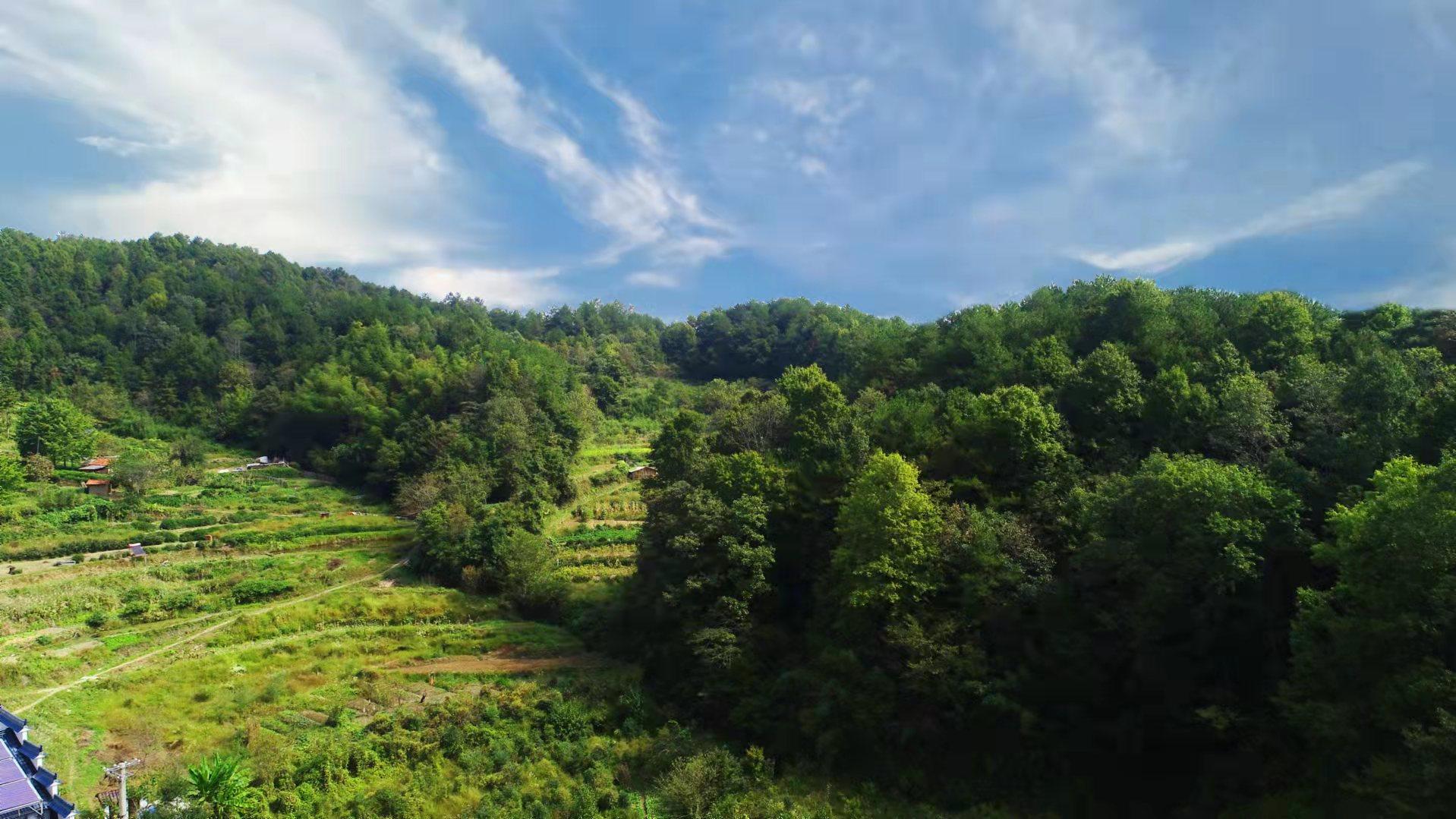 大别山天堂寨民宿推荐,青山桥网红打卡地民宿
