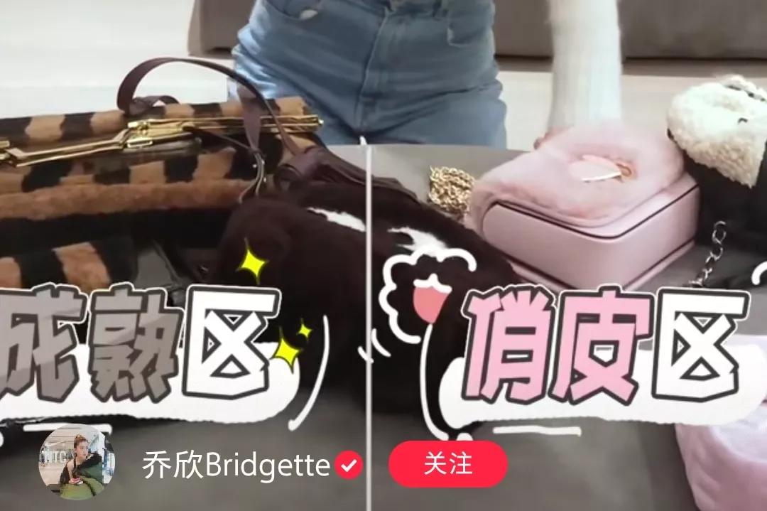 乔欣的包能装下什么,乔欣真的很有钱吗