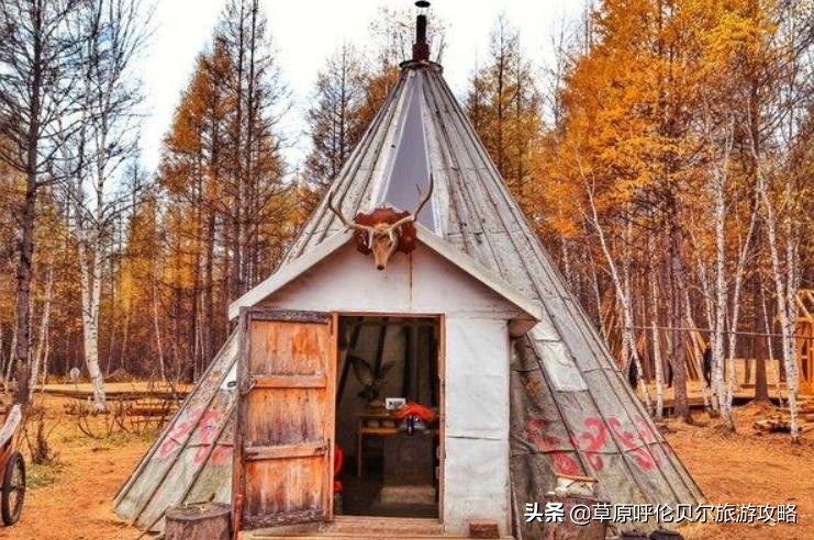 去呼伦贝尔根河市敖鲁古雅旅游怎么样?