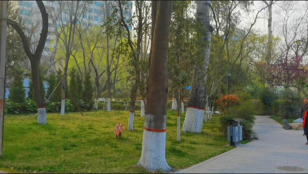 西安莲湖公园要门票吗,西安莲湖公园历史