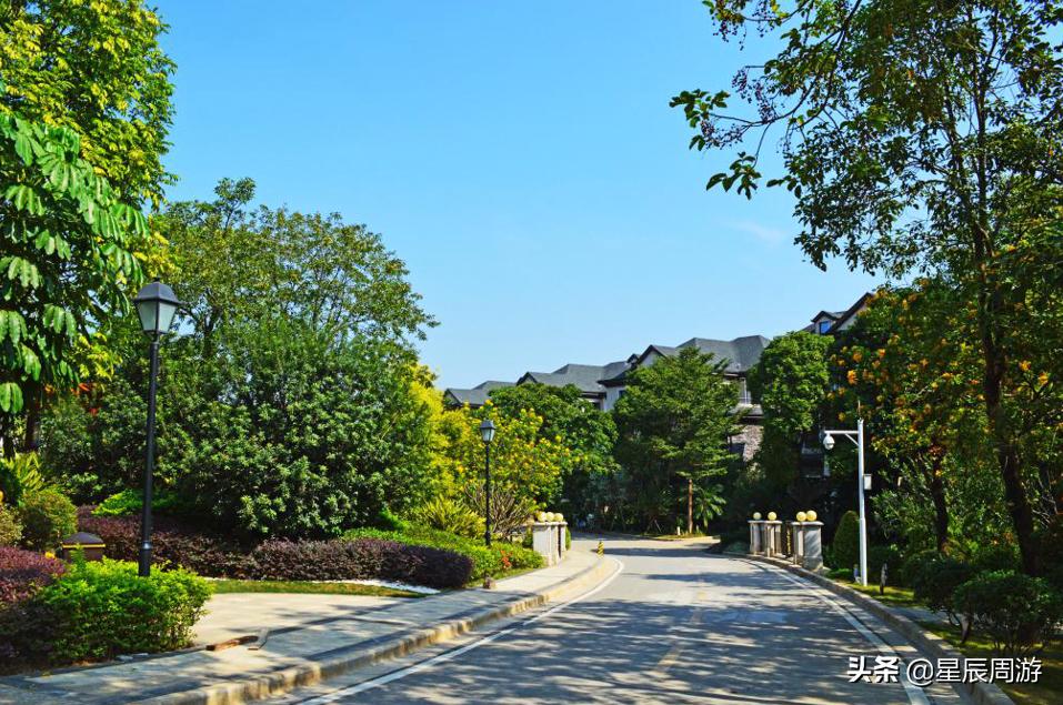 鑾茶姳灞卞簞涓滆帪,涓滆帪鑾茶姳灞卞簞鍦ㄥ敭鍒