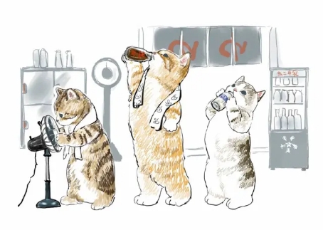 日本画师画自己家的猫,日本插画师画出养猫的日常