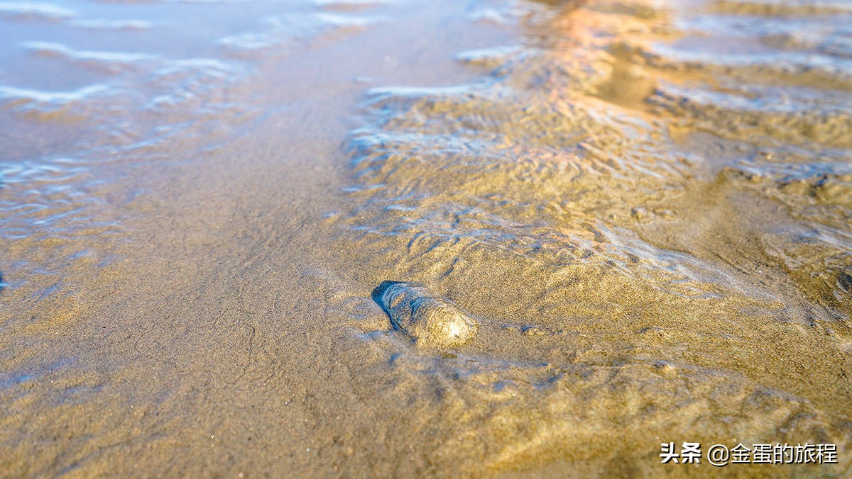 上海奉贤周末带娃好去处10岁左右,上海奉贤周末遛娃好去处推荐