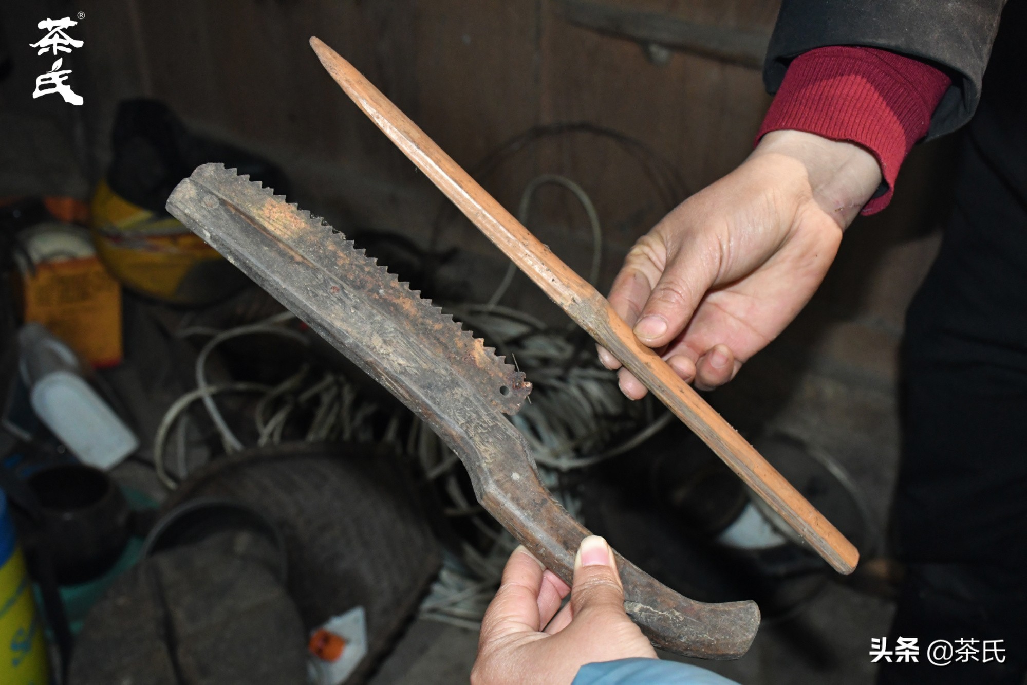 山居生活借山而居,徐州观心山居