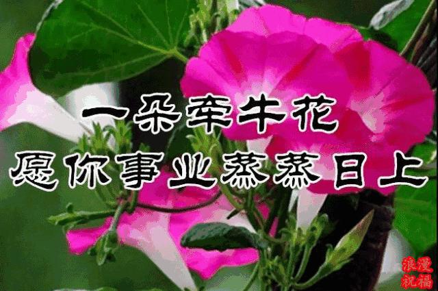 三八妇女节问候公文形式,三八妇女节问候男人