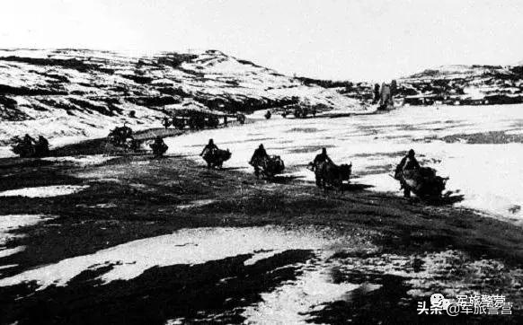 国家一级文物木头,国家一级物品