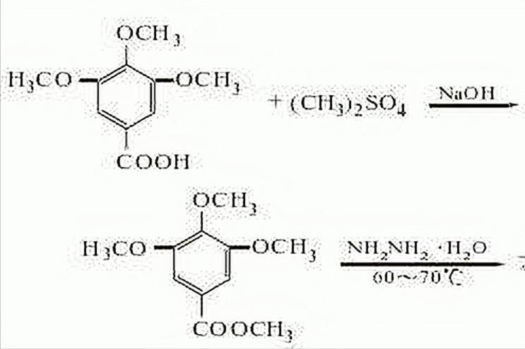 宫颈癌悬案,史上最可怕的医学事故