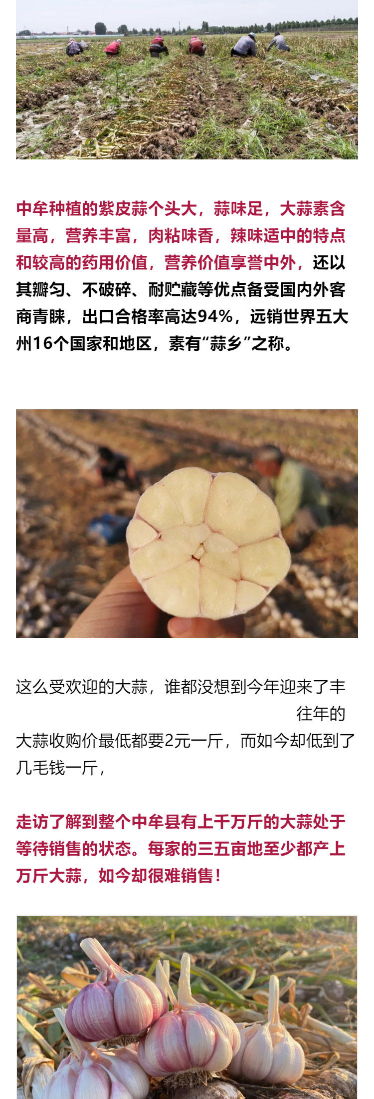 鍔╁啘鐧惧崄涓囦憨婊為攢澶ц挏,绱毊澶ц挏椴滆挏鍔╁啘5鏂よ