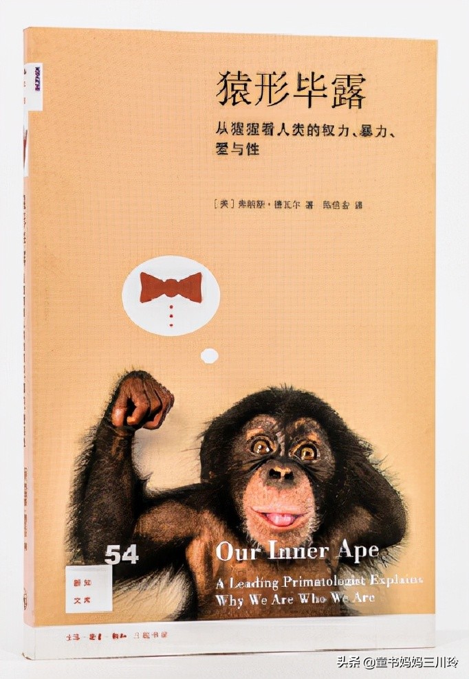 励志越挫越勇书单,培养孩子的抗挫品格