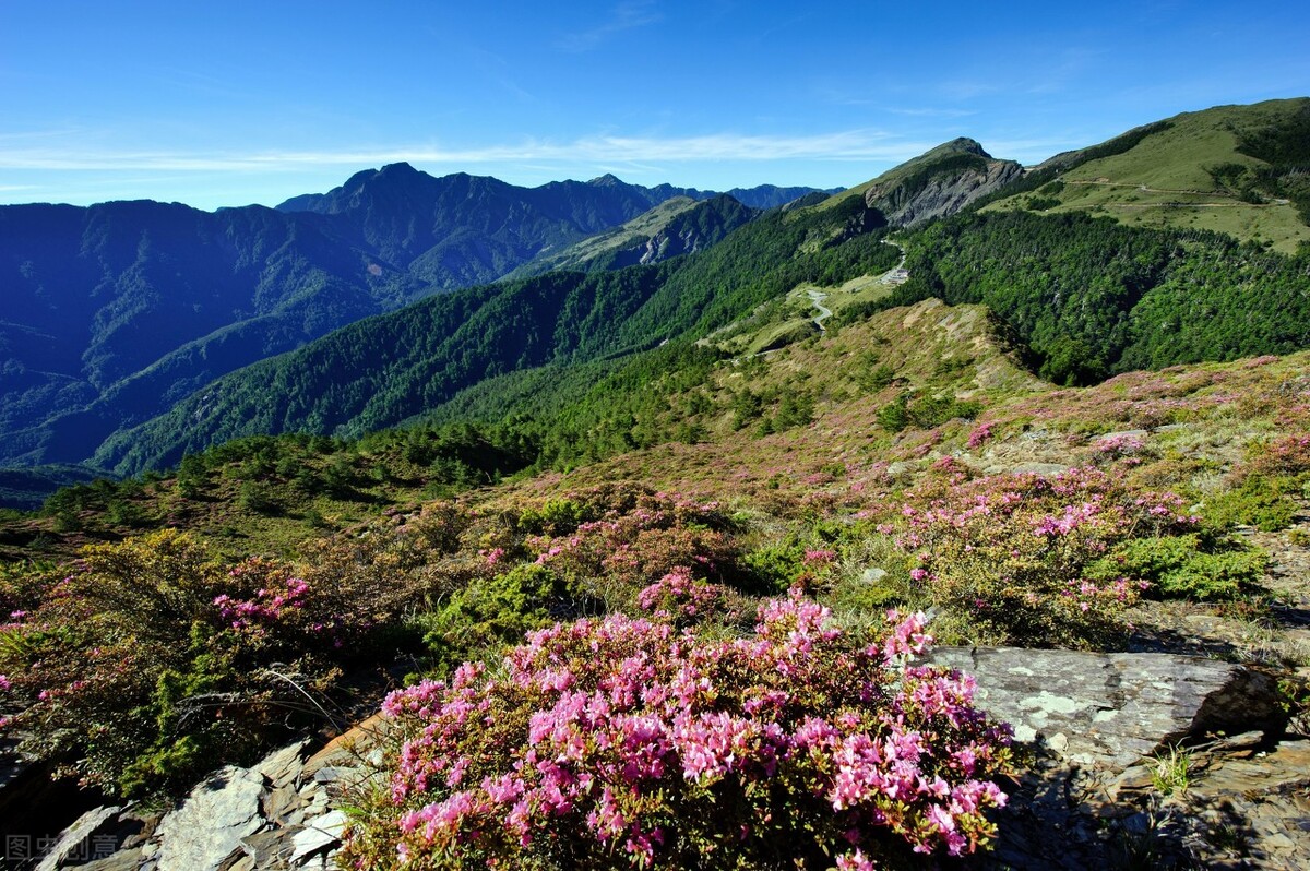 起夜次数多的中医辨证,晚上起夜多次尿多什么原因中医