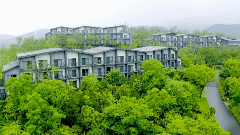 个性婚礼定制|来仙镇邂逅浪漫，于魏晋风韵中定制专属幸福回忆