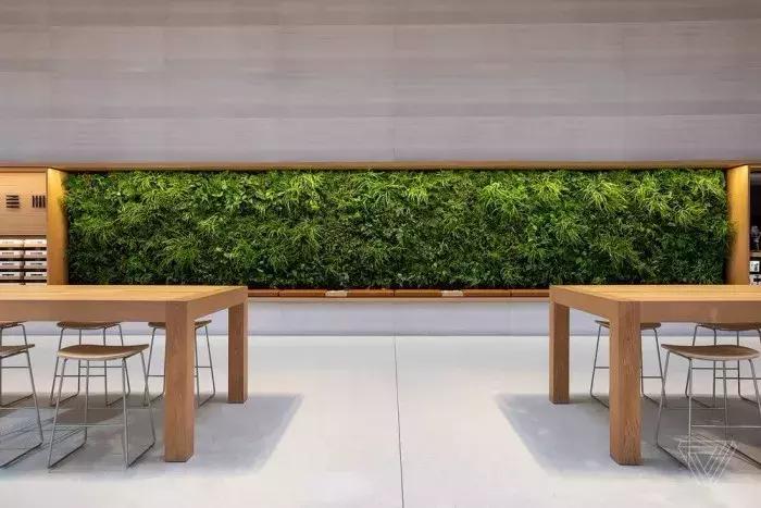 苹果店外立面效果图,苹果最大店面设计图