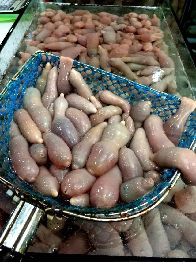 渤海当季海鲜推荐,中国渤海海鲜