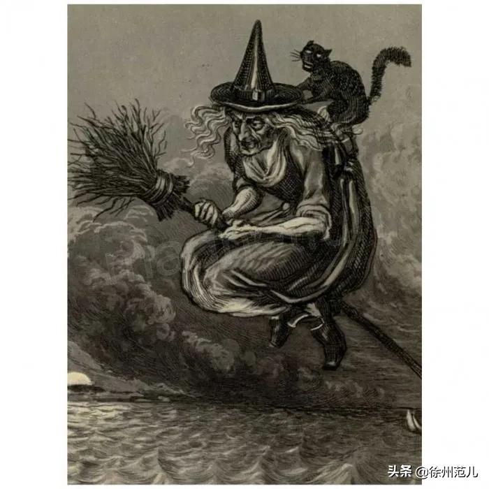 巫师为什么骑扫把不骑凳子,为什么巫师要用扫帚飞行