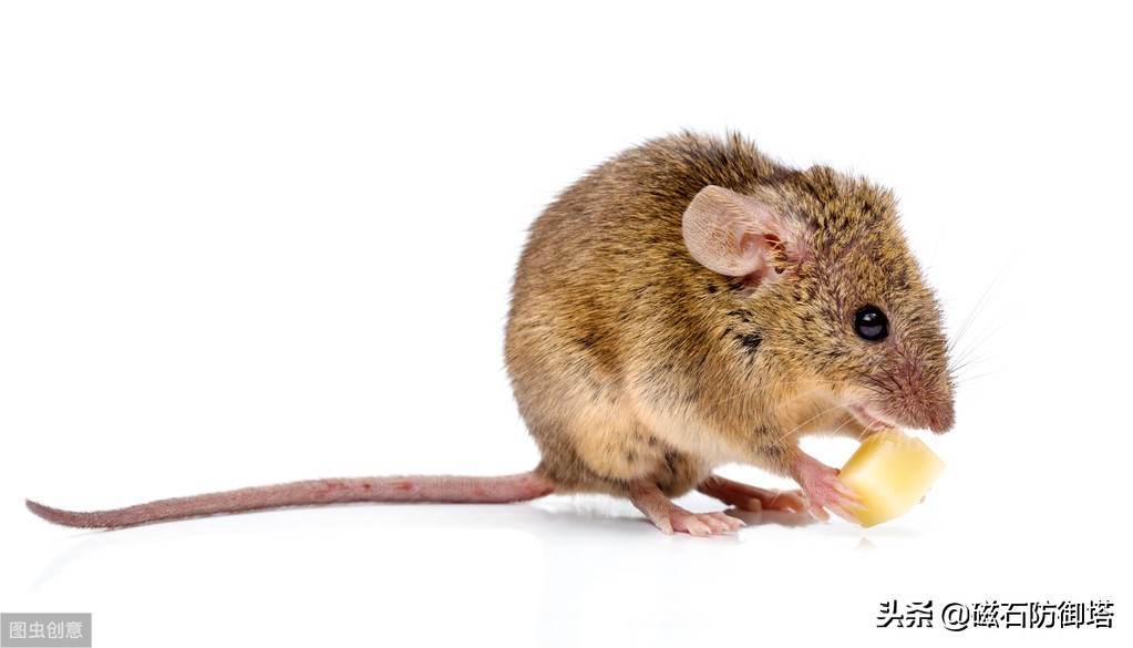 蜀道难讲解视频,蜀道难视频