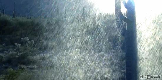 十一号台风最新情况,2023台风最严重吗