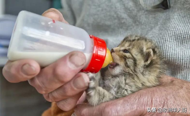 法国烟草新增税费,法国烟草能退税吗