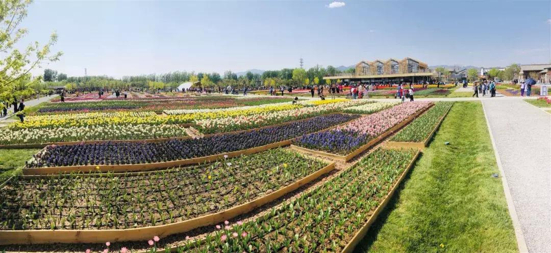 自驾车去北京世园会,自驾青岛世园会