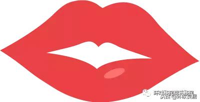 一生一“橙”迷:toNetherlands