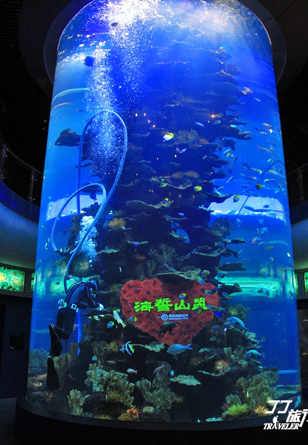 青岛最大的海洋世界在哪里呀,山中有海海上有门是谁写的