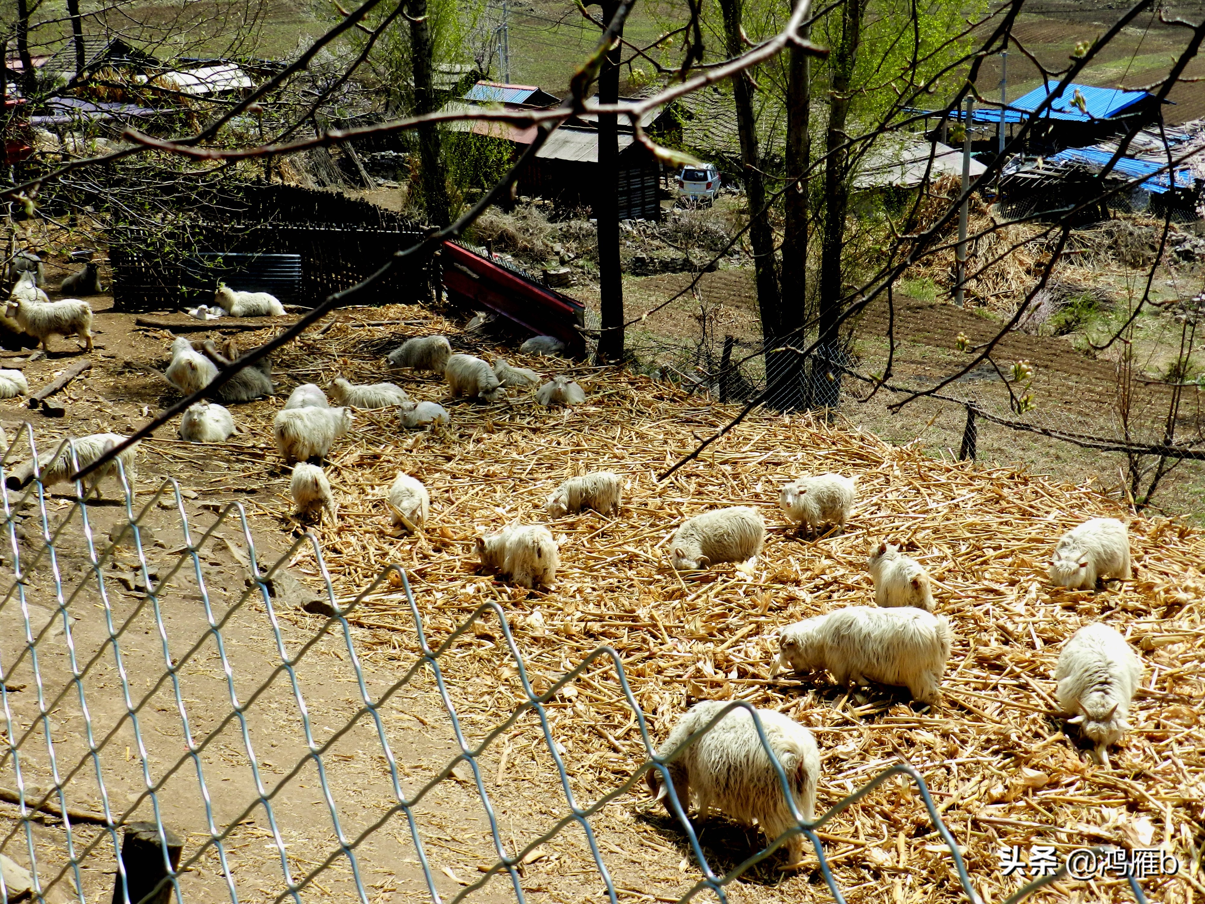 本溪小众秘境,本溪神秘山村
